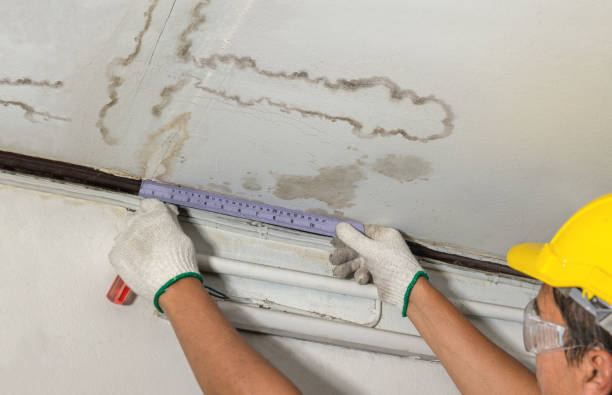 Reliable Water Damage Repair contractor in Trinidad, TX by Hirex Water Damage